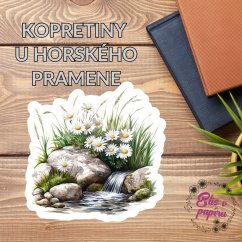 Kopretiny u horského pramene | Samolepka do diáře