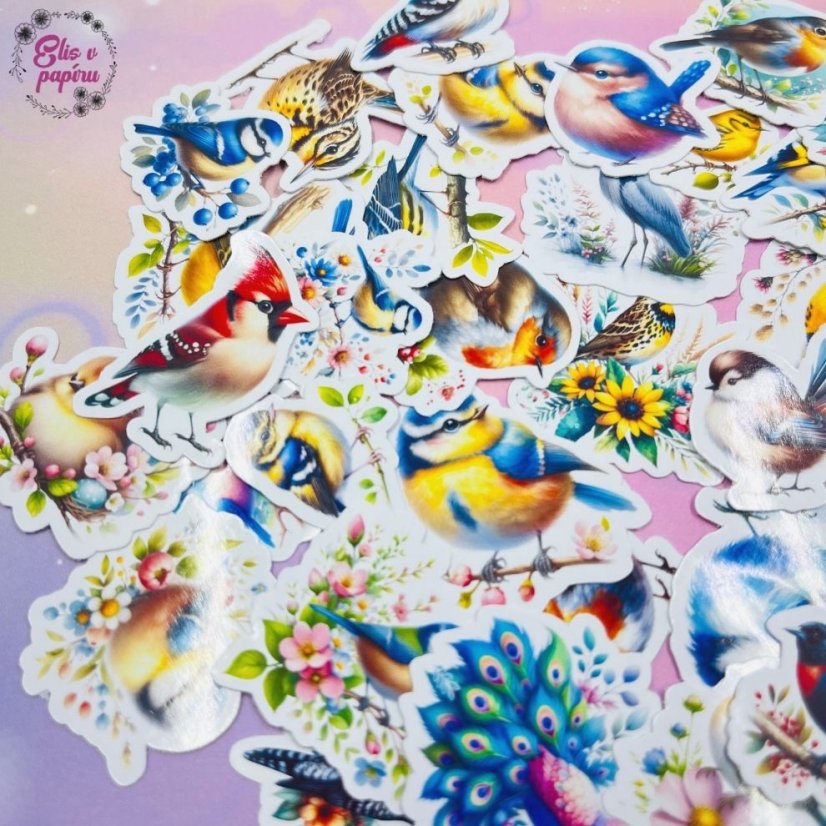 Malé kusové samolepky Ptáčci, barevné motivy, přírodní motivy, diářové samolepky, plánování, bujo, papírové samolepky, scrapbook