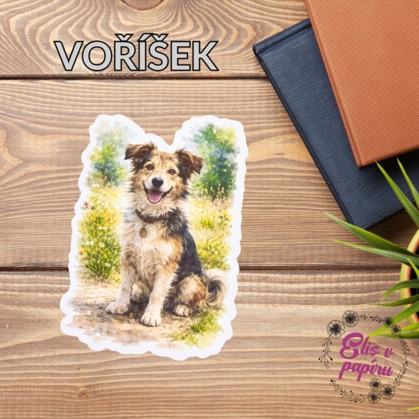 Voříšek | Samolepka do diáře | Limitka