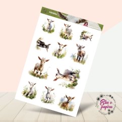 Kůzlátka | Samolepky do diáře