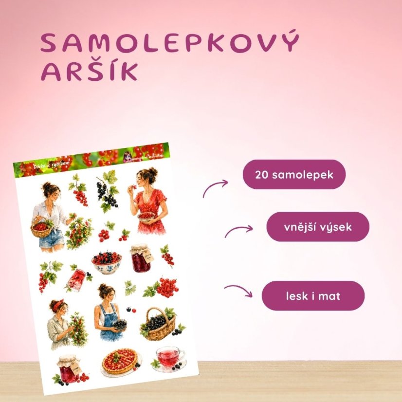 Dívka s rybízem | Samolepky do diáře