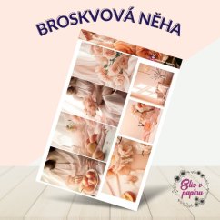 Broskvová něha | Samolepky do diáře