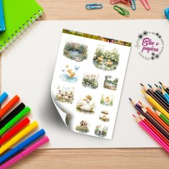 Kachní jezírko | Samolepky do diáře