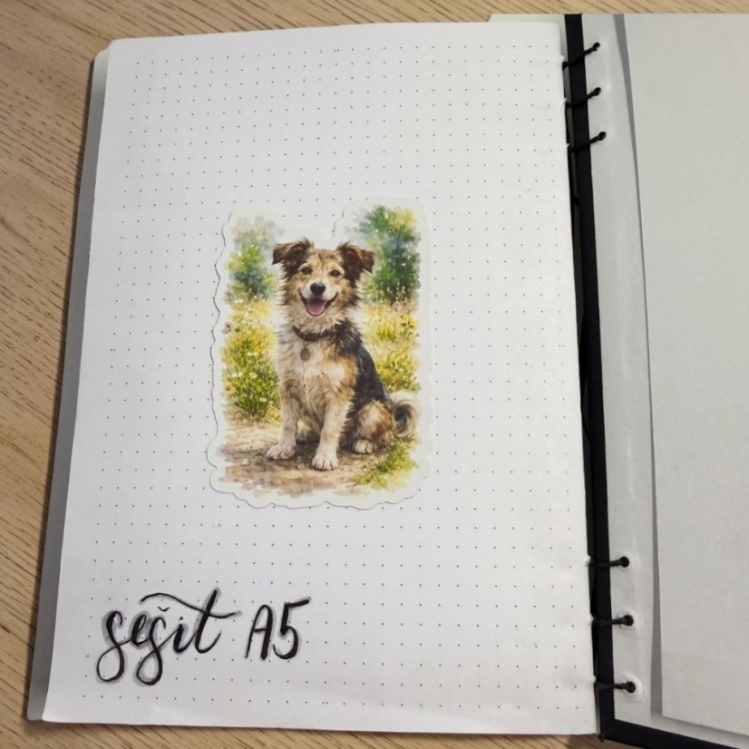 Voříšek | Samolepka do diáře | Limitka