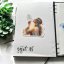 Dívka, co foukala světlo | Samolepky do diáře