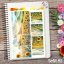 Velké kusové samolepky Slunečnicové pole, žlutá a zelená, přírodní motiv, diářové samolepky, plánování, bujo, samolepky na scrapbook.