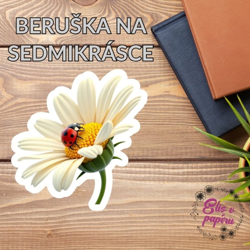Beruška na sedmikrásce  | Samolepky do diáře