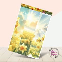 Narcisy – kam se podíváš | Samolepky do diáře