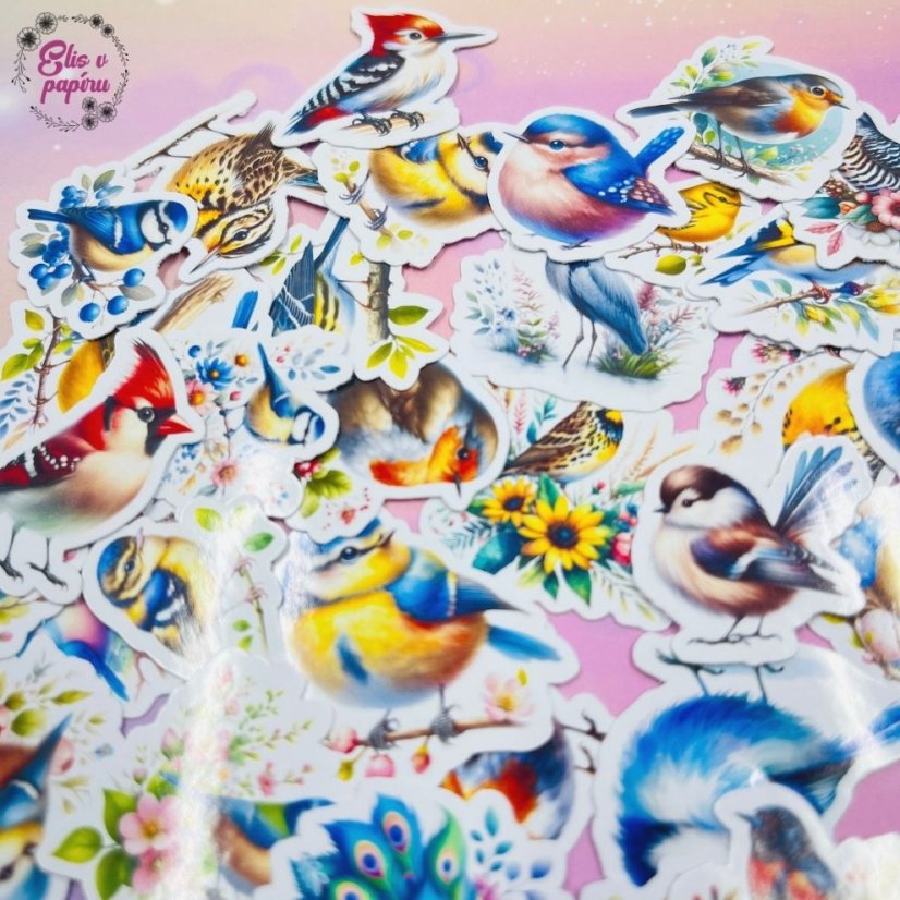 Malé kusové samolepky Ptáčci, barevné motivy, přírodní motivy, diářové samolepky, plánování, bujo, papírové samolepky, scrapbook