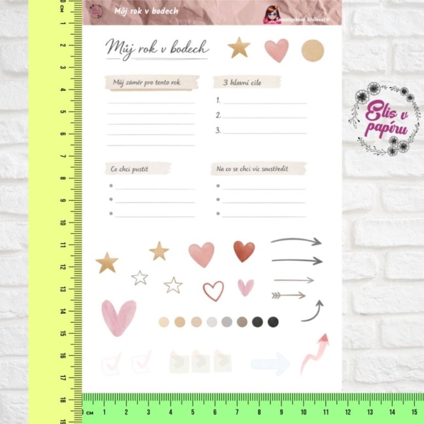 Můj rok v bodech | Samolepky do diáře