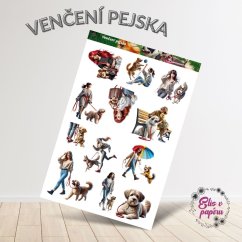 Venčení pejska | Samolepky do diáře