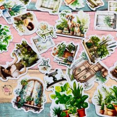 Samolepky plné pokojích rostlin od Elis v papíru