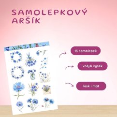 Chrpy | Samolepky do diáře