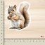 Veverka s oříškem | Maxi kusová samolepka pro diář i scrapbook