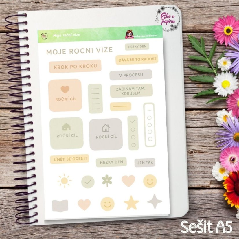 Moje roční vize | Samolepky do diáře