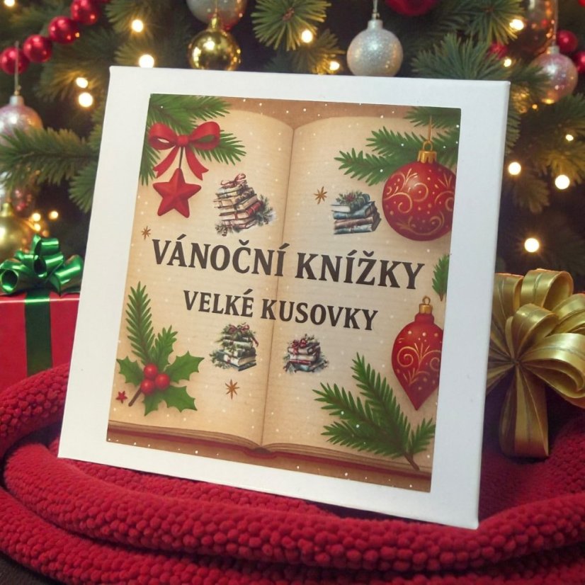 Vánoční knížky | Velké kusové samolepky do diáře i pro scrapbook
