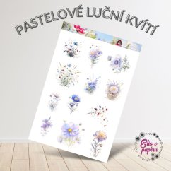 🌿 Arch samolepek s něžnými lučními květy v jemných pastelových odstínech.