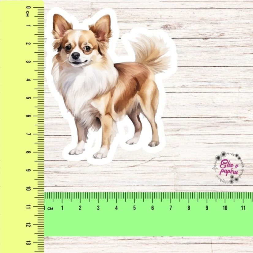 Čivava | Samolepka do diáře | Limitka