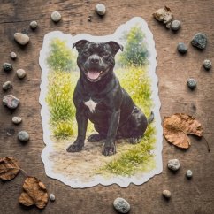 Stafbul | Samolepka do diáře | Limitka