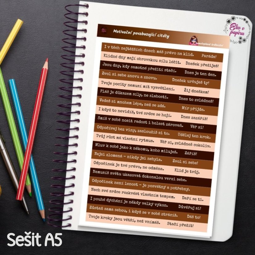 Motivační povzbuzující citáty | Samolepky do diáře