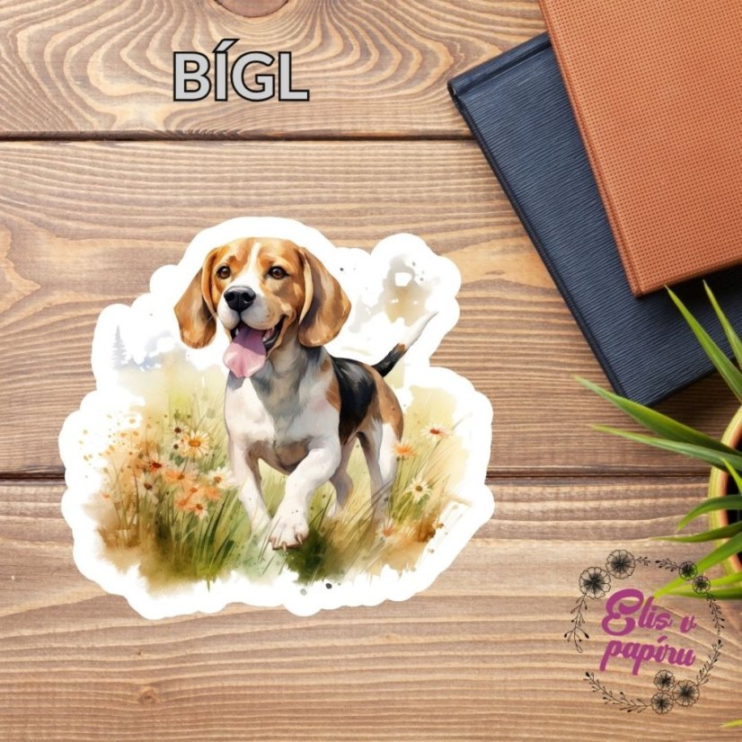Bígl | Samolepky do diáře