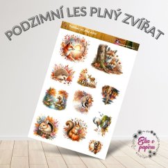 Samolepky zobrazují podzimní les plný roztomilých zvířátek – lišky, veverky, zajíčci, ježci a ptáčci jsou obklopeni barevným listím a přírodními motivy. Každý motiv vyzařuje hravost a kouzlo podzimní přírody, ideální pro podzimní journaling nebo diářové zdobení.