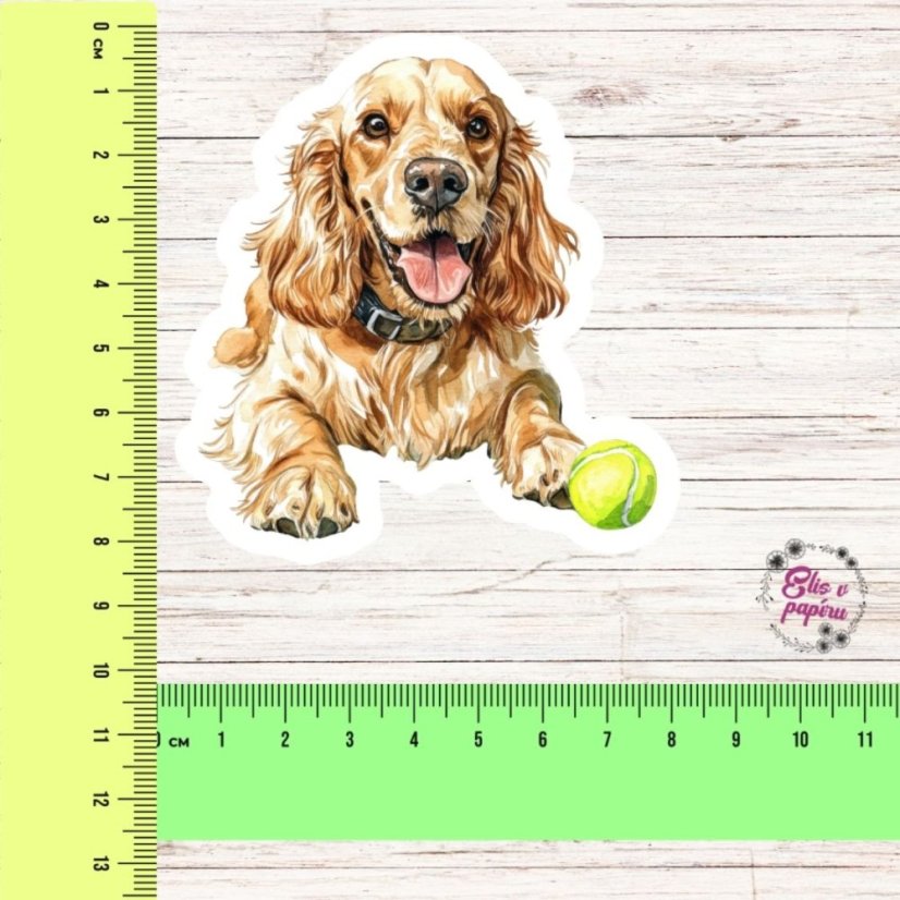 Kokršpaněl | Samolepka do diáře | Limitka