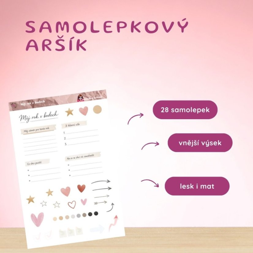 Můj rok v bodech | Samolepky do diáře