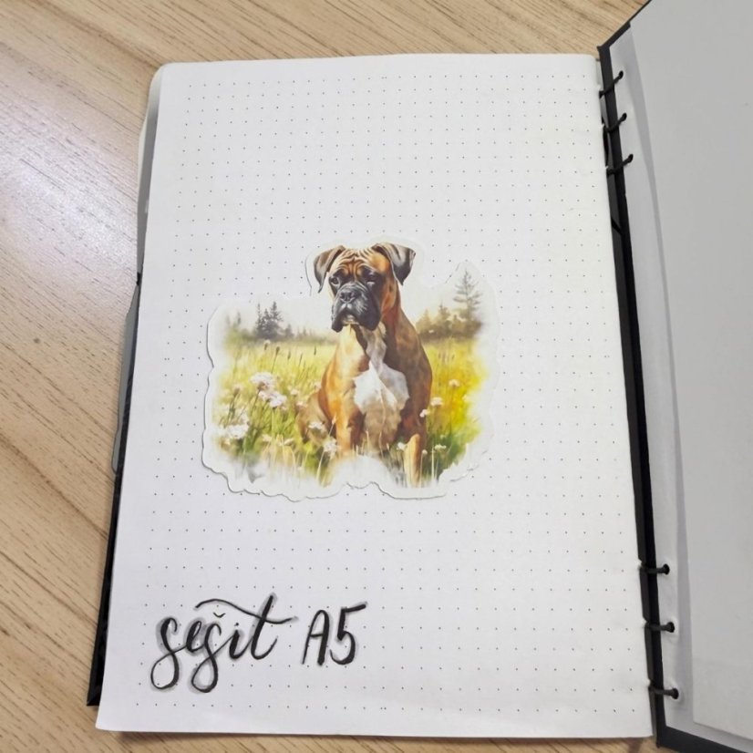 Boxer | Samolepka do diáře | Limitka