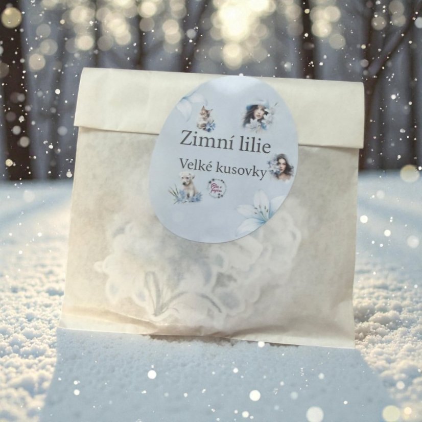 Zimní lilie | Velké kusové samolepky do diáře i pro scrapbook