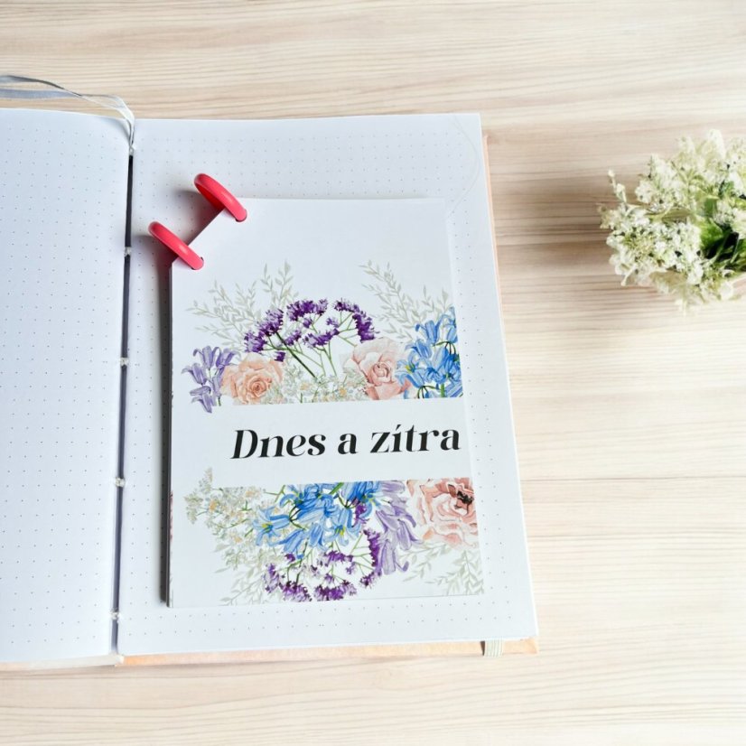 Dnes a zítra | Denní zápisník