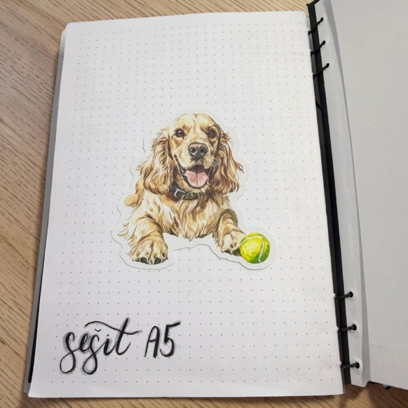 Kokršpaněl | Samolepka do diáře | Limitka