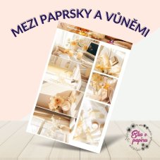Mezi paprsky a vůněmi | Samolepky do diáře - obrázkové boxy