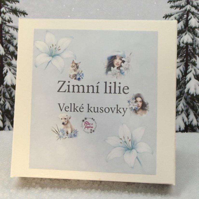 Zimní lilie | Velké kusové samolepky do diáře i pro scrapbook