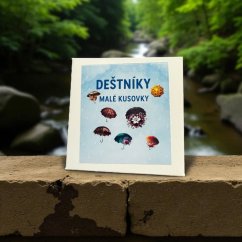 Deštníky | Malé kusové samolepky pro diář i scrapbook