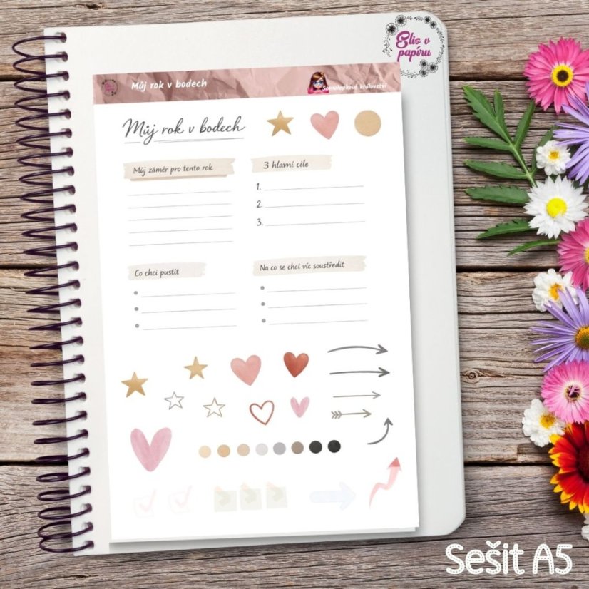 Můj rok v bodech | Samolepky do diáře