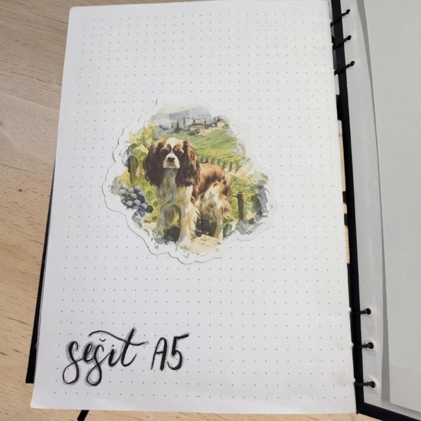 Kavalír king Charles španěl | Samolepka do diáře | Limitka