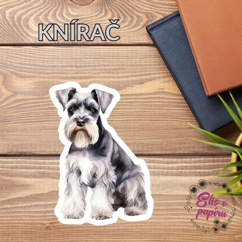 Knírač | Samolepka do diáře | Limitka