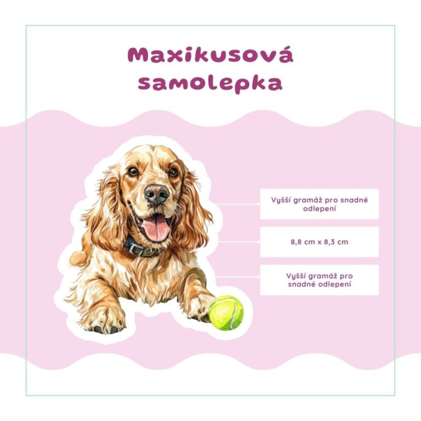 Kokršpaněl | Samolepka do diáře | Limitka
