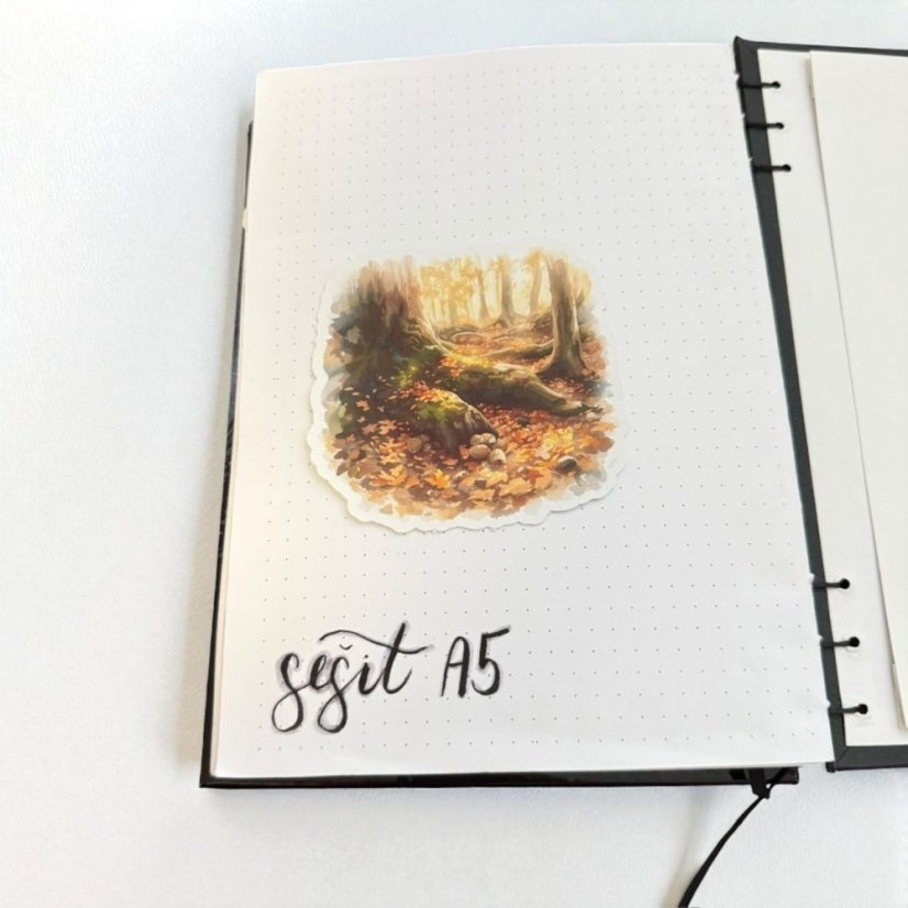 Klid mezi kořeny | Samolepky do diáře