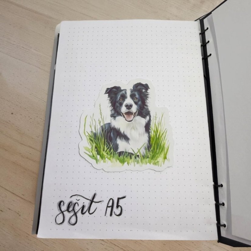Border kolie | Samolepka do diáře | Limitka
