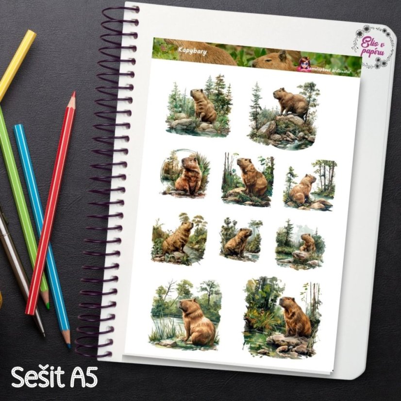 Kapybary | Samolepky do diáře