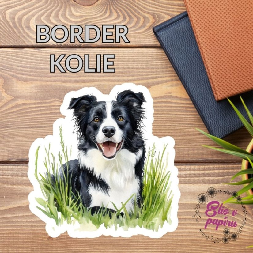 Border kolie | Samolepka do diáře | Limitka