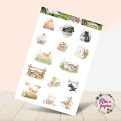 Kočičí dobrodružství | Samolepky do diáře