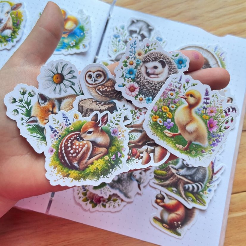 Jarní mláďátka | Velké kusové samolepky pro diář i scrapbook