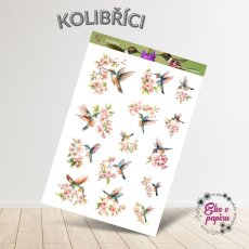 Arch samolepek s něžnými kolibříky a rozkvetlými větvičkami v akvarelovém stylu.
