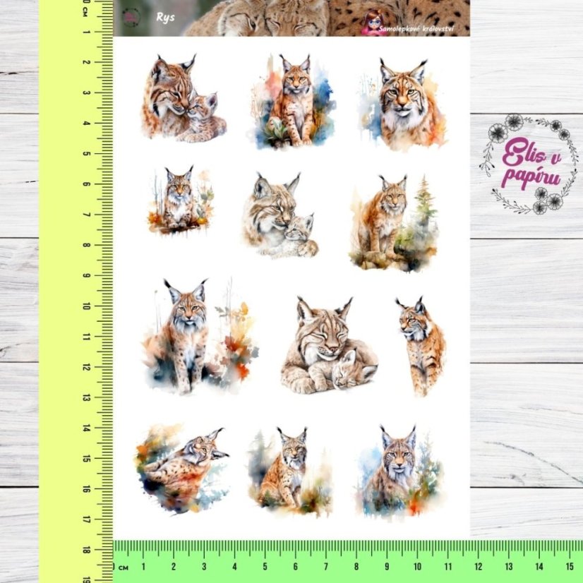Rys | Samolepky do diáře