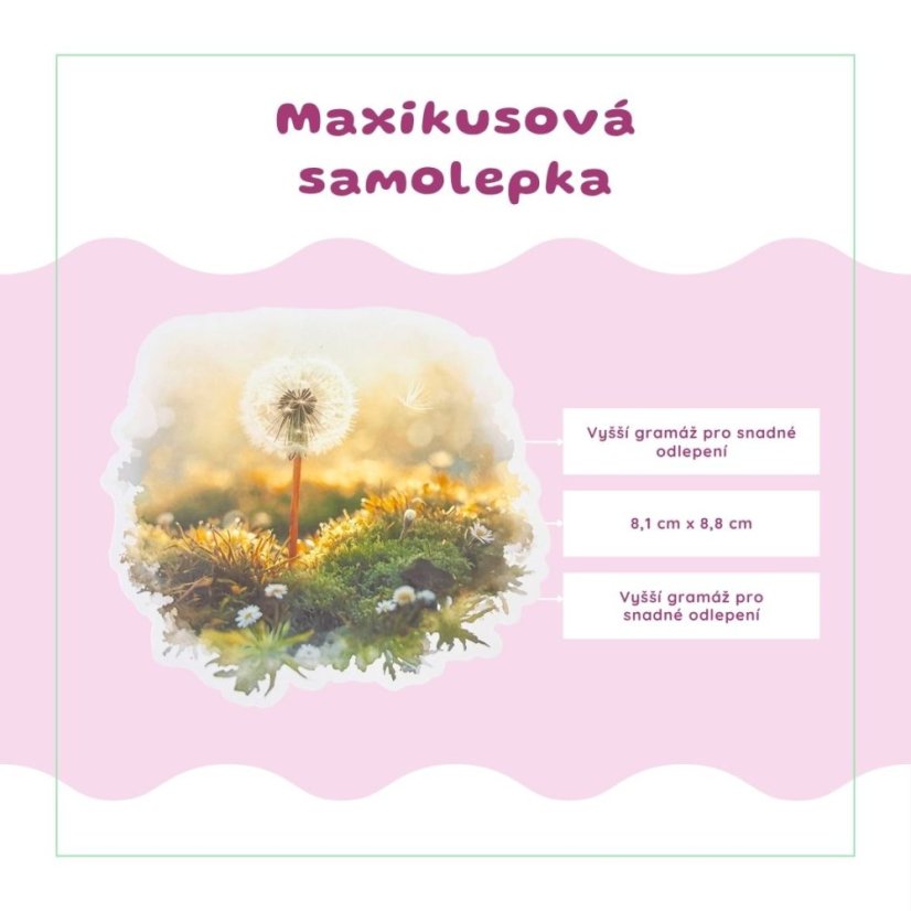 Odkvetlá pampeliška | Samolepka do diáře