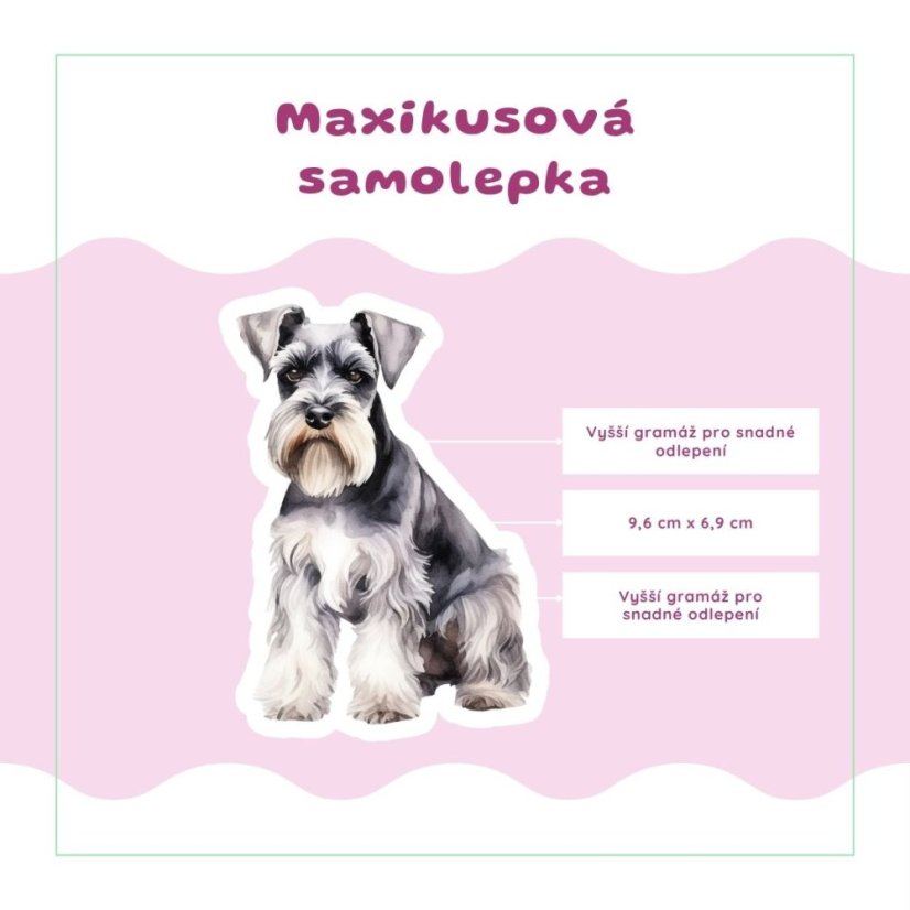 Knírač | Samolepka do diáře | Limitka