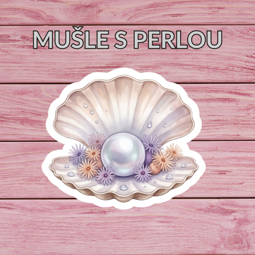 Mušle s perlou | Maxi kusová samolepka pro diář i scrapbook